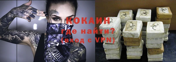 прущие грибы Богданович