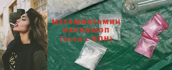 прущие грибы Богданович