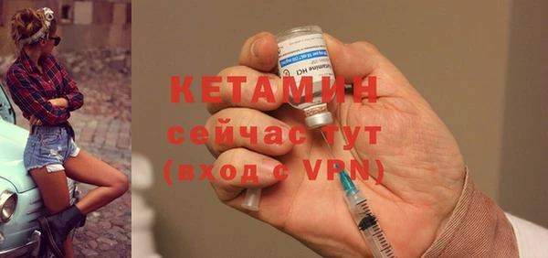 прущие грибы Богданович