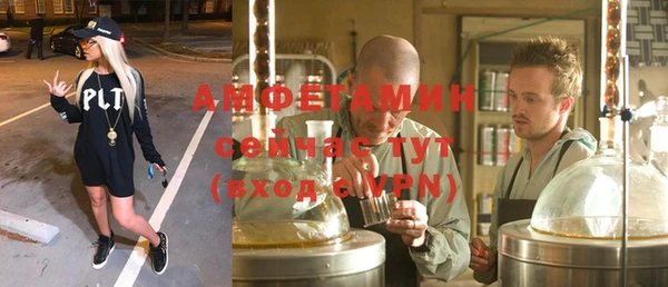 прущие грибы Богданович