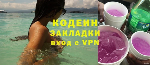 прущие грибы Богданович