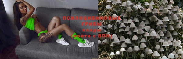 хмурый Богородск
