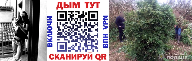 МАРИХУАНА гибрид Городовиковск